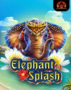 Elephant Splash