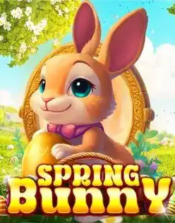 Spring Bunny