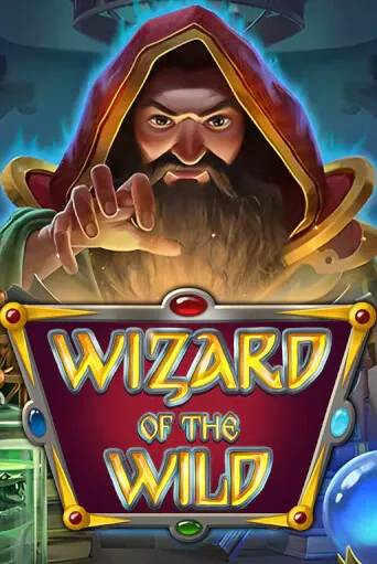 Wizard of the Wild