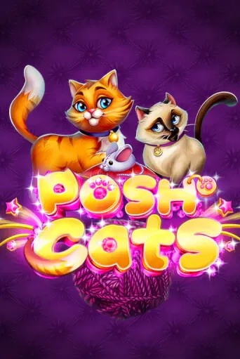 Posh Cats