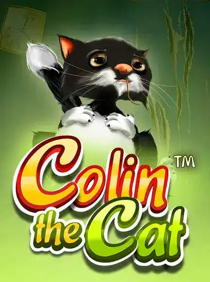 Colin The Cat