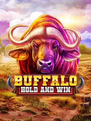Buffalo Hold and Win