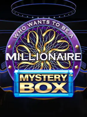 Millionaire Mystery Box